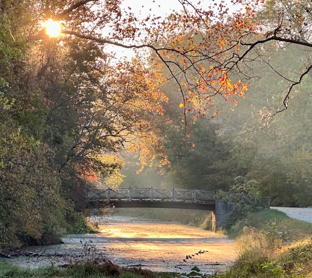 Tomorrow is the last day to submit photos for the March photo contest! For submission guidelines check canaltrust.org/co-canal-trust…

📸: Fall Rays - Anglers Bridge by Becky Neal (February Runner-Up)