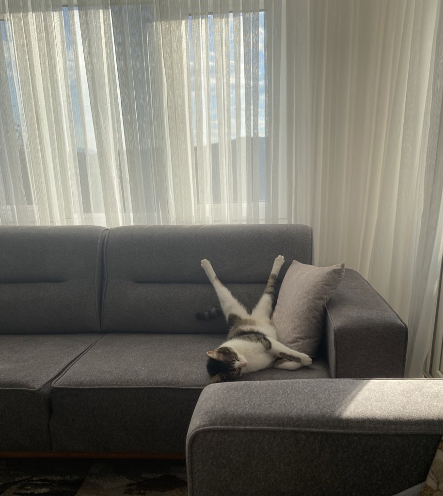 Bunu atmam lazım mecbur tekrar qhqjwjsjdjws