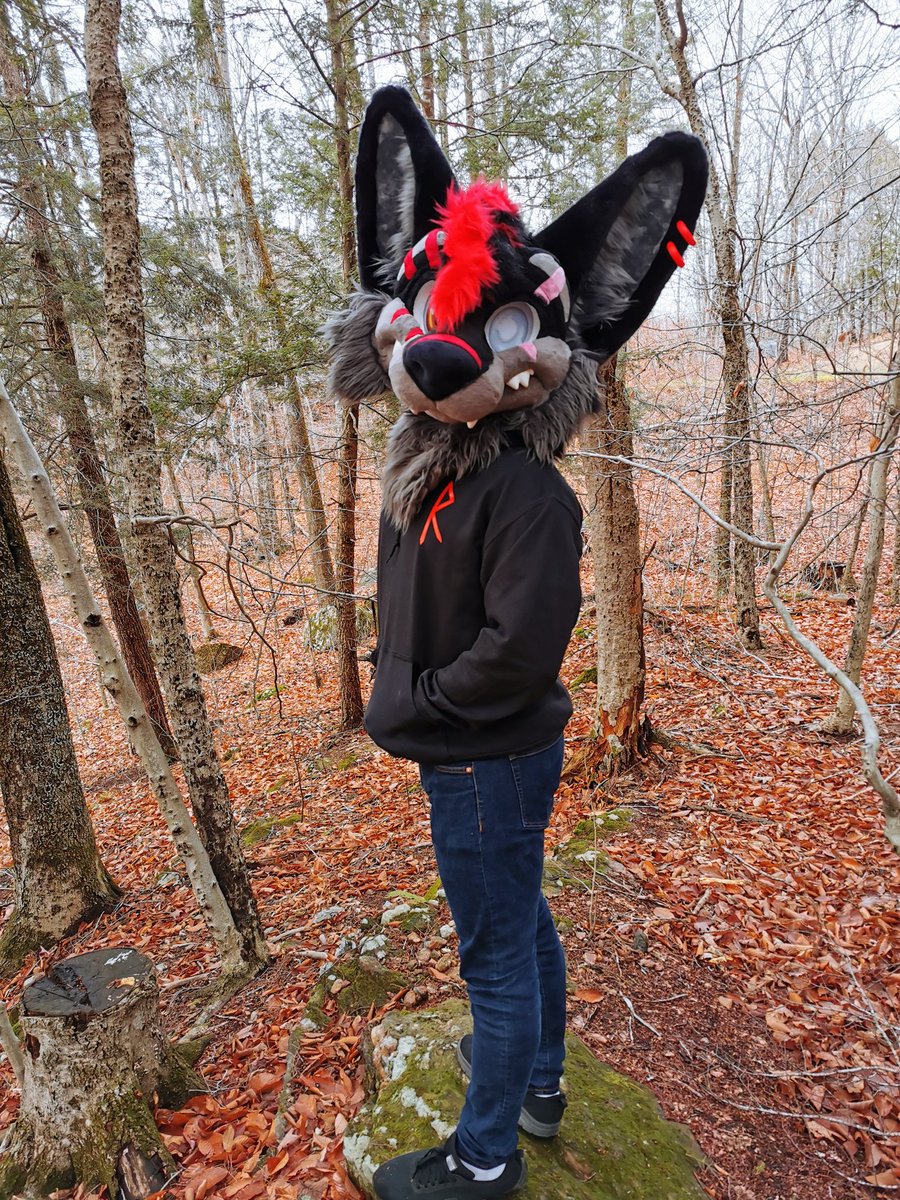 Fenrik the Wolfy ❤️🖤 tweet media