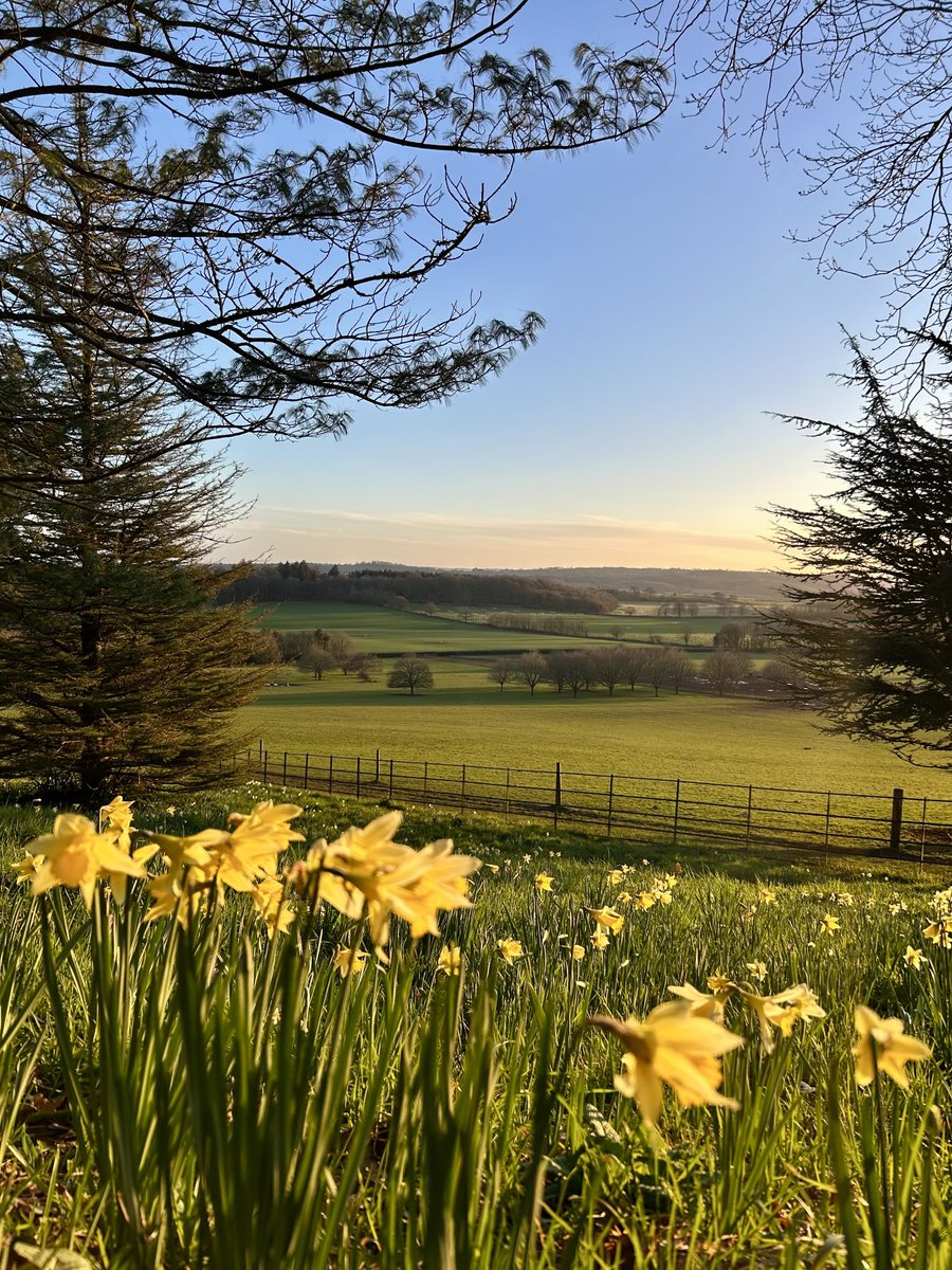 LorraineInglisD's tweet photo. Lovely walk after work, sunsets are getting later and Spring is in the air at last! 💛💙🌳🌼 

#photography #february #Devon #naturephotography #ntkillerton https://t.co/CtFr7PBkLT