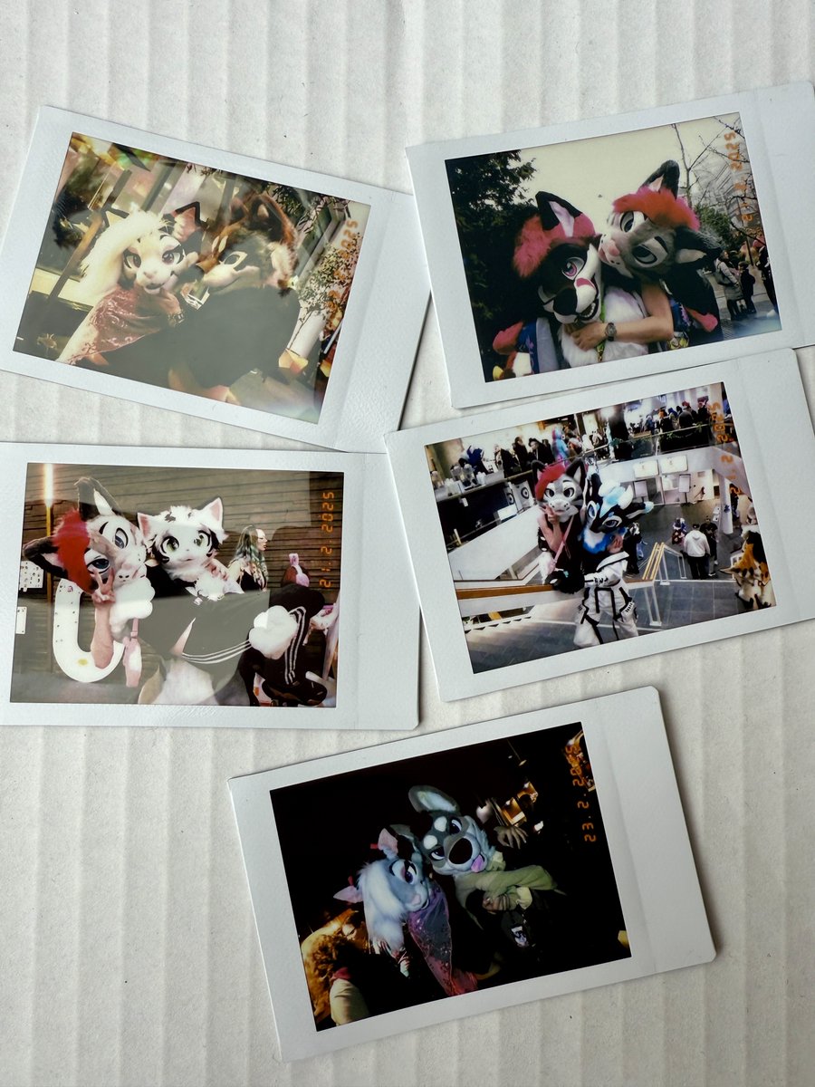 Soju cat 🍉🍇➡️ FE, LVFC (@melon_mow) on Twitter photo More instax more instax!
<a href="/ChestnutSaga/">Chestnut</a> <a href="/StainlessThefox/">Stainy! @ NFC</a> <a href="/KotetsuNyann/">Kotetsu.bsky.social</a> <a href="/xeroxado/">xeroxado</a> <a href="/MahkunCoyote/">MahkunCoyote🐾FurstClass🇰🇷</a>
CAN YOU TELL IM HAVING FUN🥹 More instax more instax!
<a href="/ChestnutSaga/">Chestnut</a> <a href="/StainlessThefox/">Stainy! @ NFC</a> <a href="/KotetsuNyann/">Kotetsu.bsky.social</a> <a href="/xeroxado/">xeroxado</a> <a href="/MahkunCoyote/">MahkunCoyote🐾FurstClass🇰🇷</a>
CAN YOU TELL IM HAVING FUN🥹