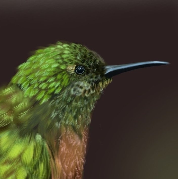 ScribbleSnark's tweet image. My second birb.

#arttimelapse #birds #artpractice