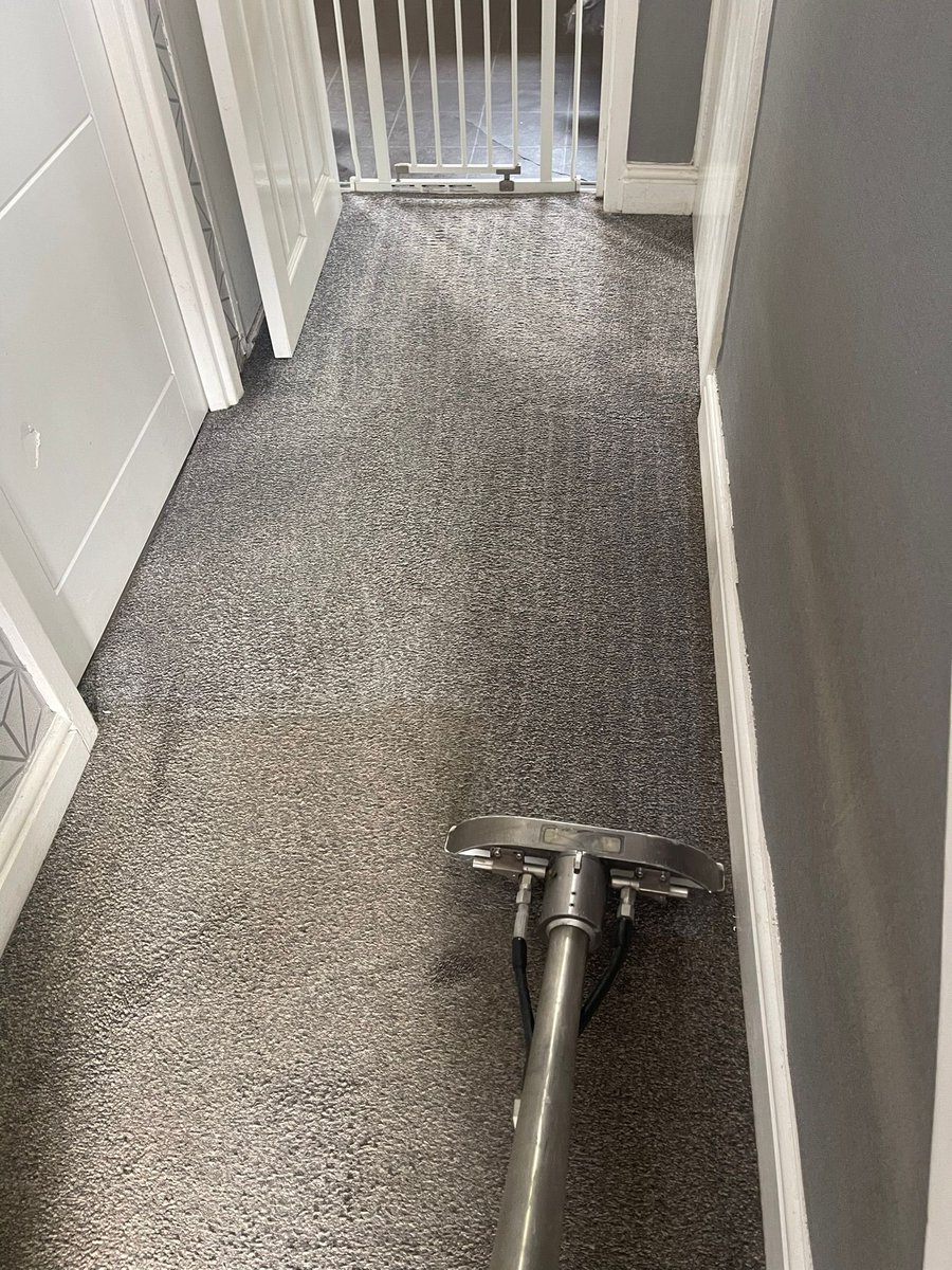NWalesSocial's tweet photo. #NWalesHour
#cleancarpet
#qualityclean
Family business @LightfootClean carpet cleaning put their customer focus first, investment in the very best cleaning equipment has made Lightfoot Cleaning Solutions the most popular and reliable service across Flintshire.
Call Colin on 07900 667415 or visit; https://t.co/9ZHoYsmV2k