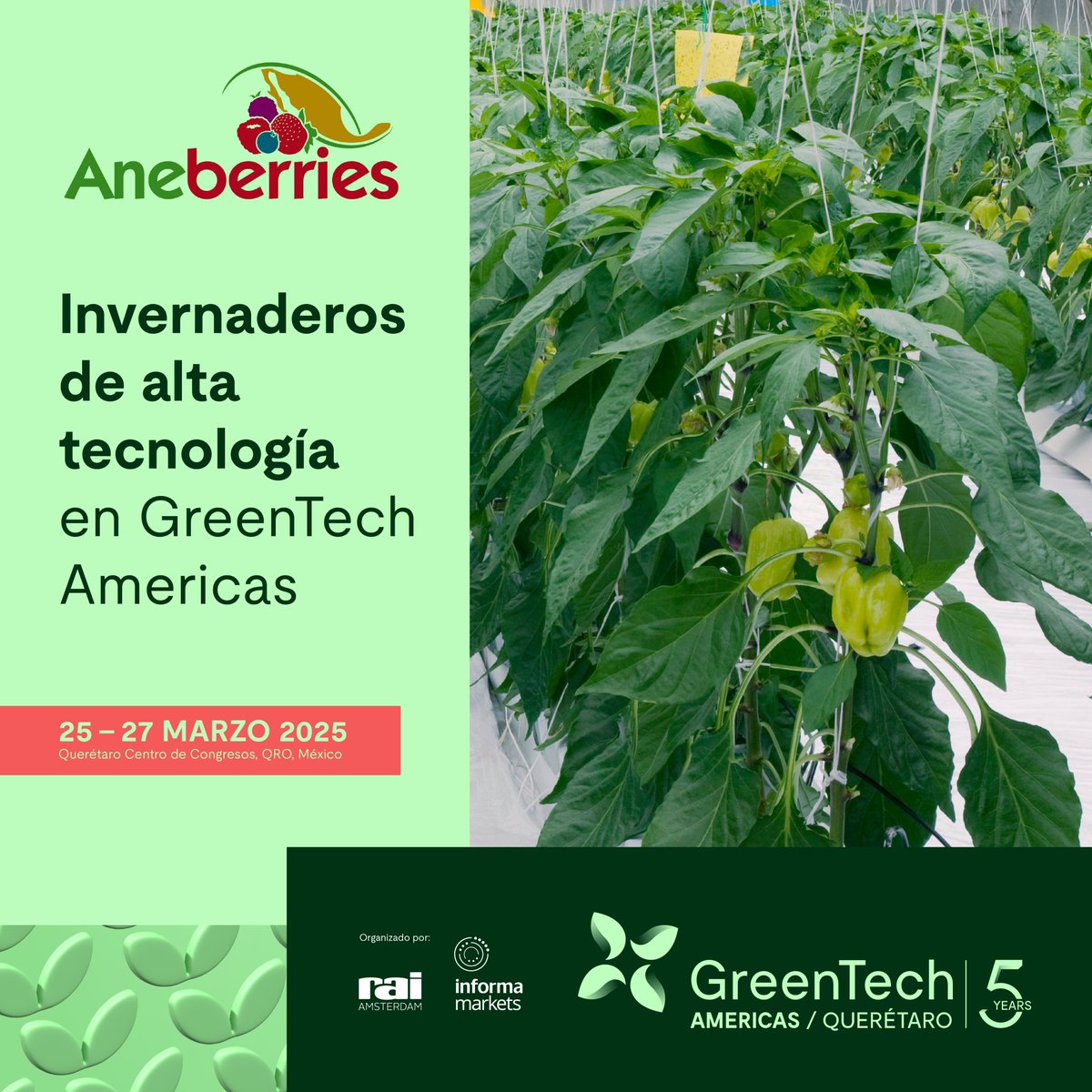 Nos emociona invitarte a GreenTech Americas 2025. ¡Expande tu red y lleva tu crecimiento al siguiente nivel!
¡REGÍSTRATE AHORA!
#GreenTechAmericas2025 #InnovaciónAgrícola #HorticulturaProtegida

acob.guru/Pangea/eventos…