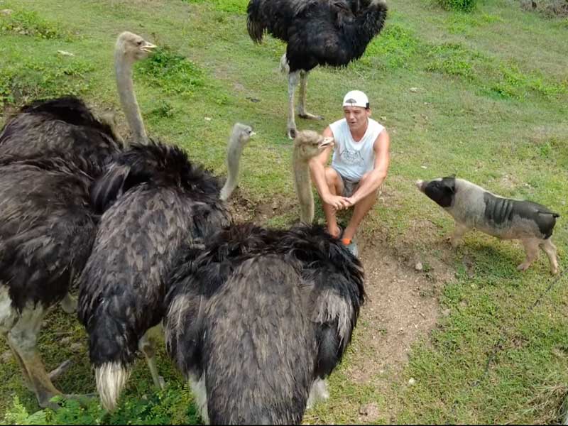 Que pena me da el caso Frank Cuesta, se avecina un futuro negro para el y los que alguna vez fueron sus animales.

Todo un santuario arruinado por una víbora drogadicta a la que nunca le faltó nada. Todos sabemos que ha estado implicada.

Tailandia pais de corruptos y miserables.