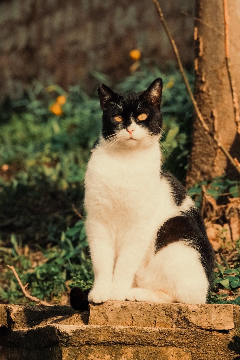 Turgay Keskin (@turgaykskn) on Twitter photo 