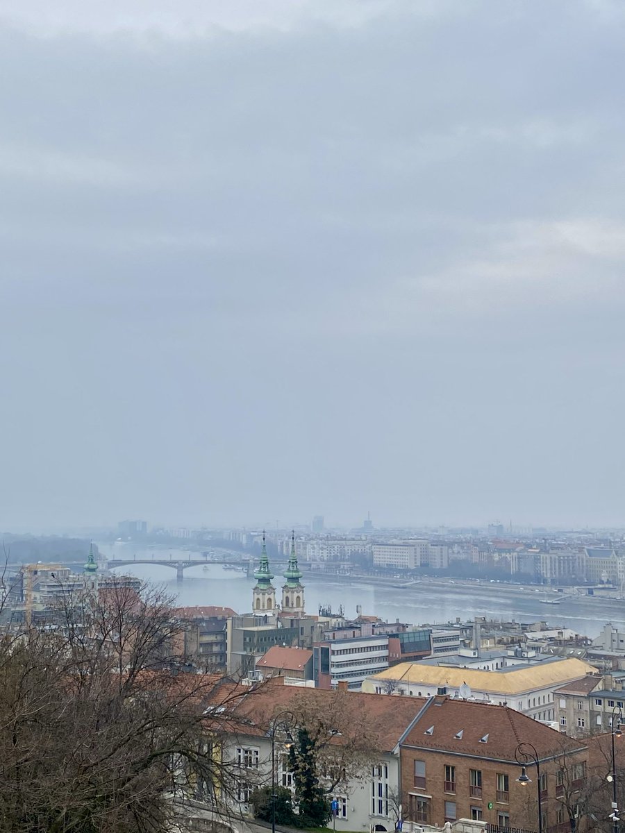 ahenk75's tweet image. Day 3/4, at Budapest, Img1 the Castle, Img2 Buda side of Danube, Img3 Pest side of Danube, Img4 the Danube under grey Sky #Space Travel