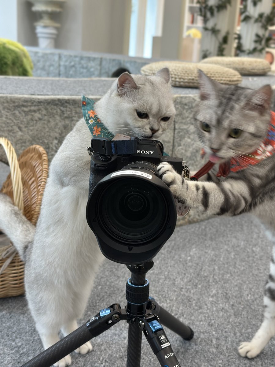 InternKun (@internkunphoto) on Twitter photo 