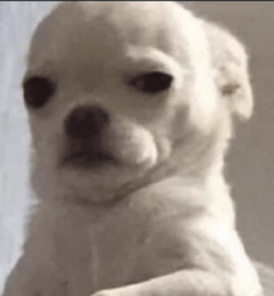 Mi cara viendo el nuevo tráiler #Shrek alchile la animación es una kk