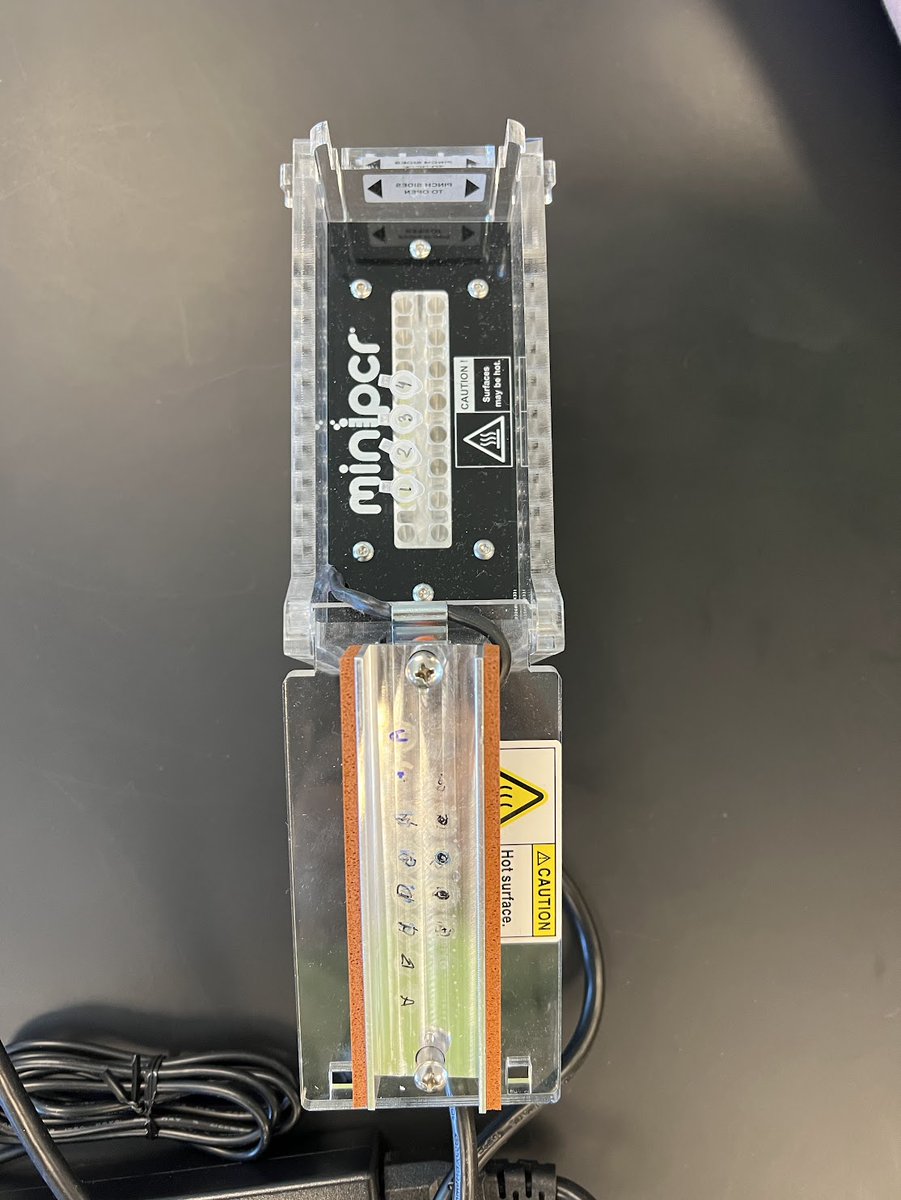 geneskool's tweet photo. We are all big Mini PCR fans over here! @miniPCR https://t.co/CNW4KkRWnT