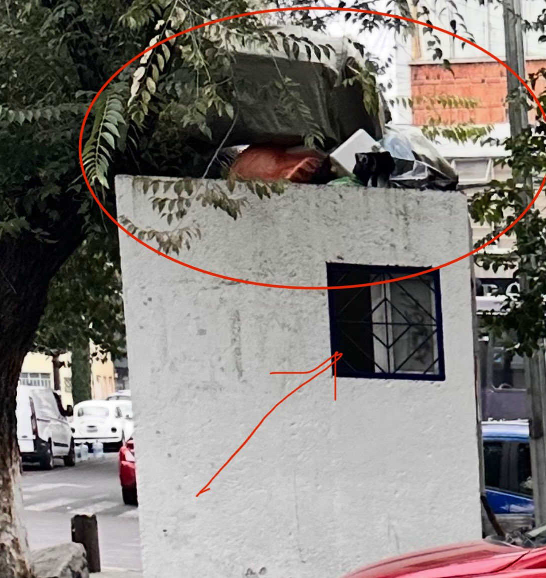 Gerardo Emmanuel Ríos (@emmanuelrigz) on Twitter photo <a href="/LuisMendozaBJ/">Luis Mendoza Acevedo</a> Así hazle a los mudanceros “Transportes Amado” en:
Canarias y Pirineos, Portales Sur, BJ, CP 03300 CDMX
15 años ahí y nadie los quita, y peor aún que ni siquiera son establecimiento, solo unos briagos colgados de la vía pública
<a href="/AccionesBJ/">Acciones BJ</a> sigue sin contestar, ni atender <a href="/LuisMendozaBJ/">Luis Mendoza Acevedo</a> Así hazle a los mudanceros “Transportes Amado” en:
Canarias y Pirineos, Portales Sur, BJ, CP 03300 CDMX
15 años ahí y nadie los quita, y peor aún que ni siquiera son establecimiento, solo unos briagos colgados de la vía pública
<a href="/AccionesBJ/">Acciones BJ</a> sigue sin contestar, ni atender