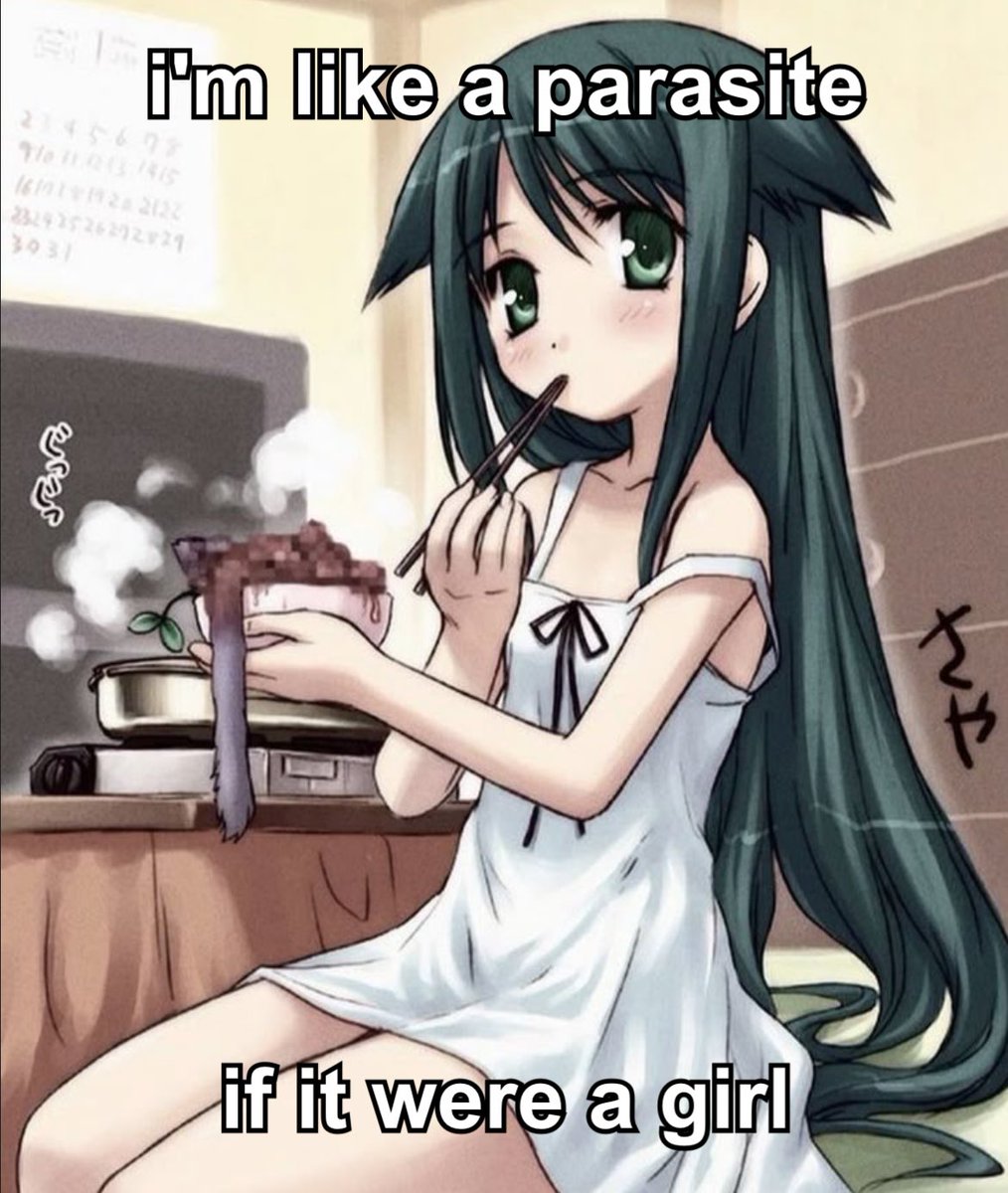 nova (@comfypill) on Twitter photo 