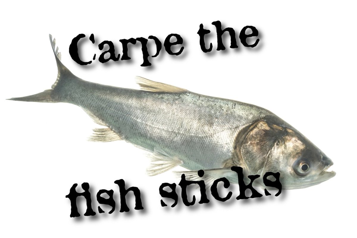 Silver carp jump 10 feet into the air, wreck habitats, and crowd out native fish. But there’s one place they belong: your dinner plate.  Grilled, blackened, or crispy, carp is surprisingly tasty. 

Carpe the fish sticks.