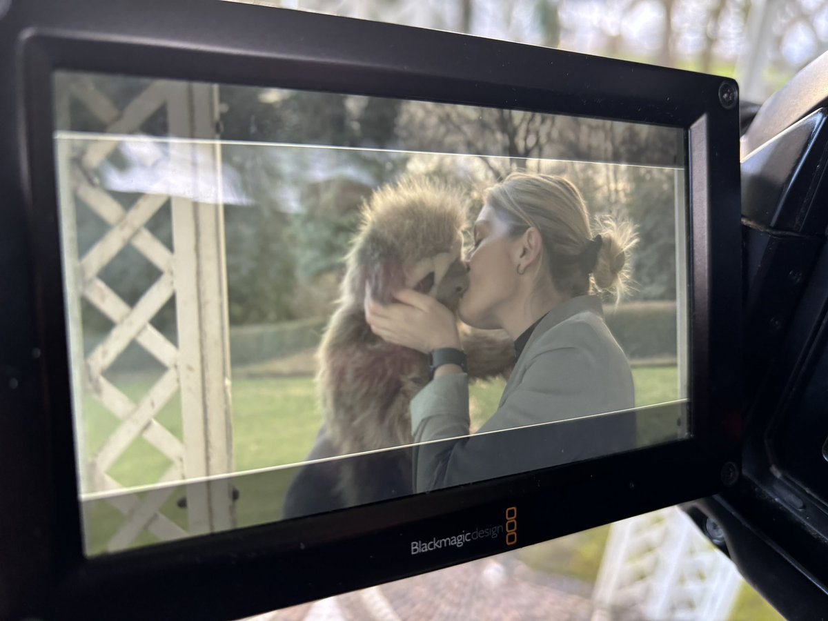 Chris Stone tweet media