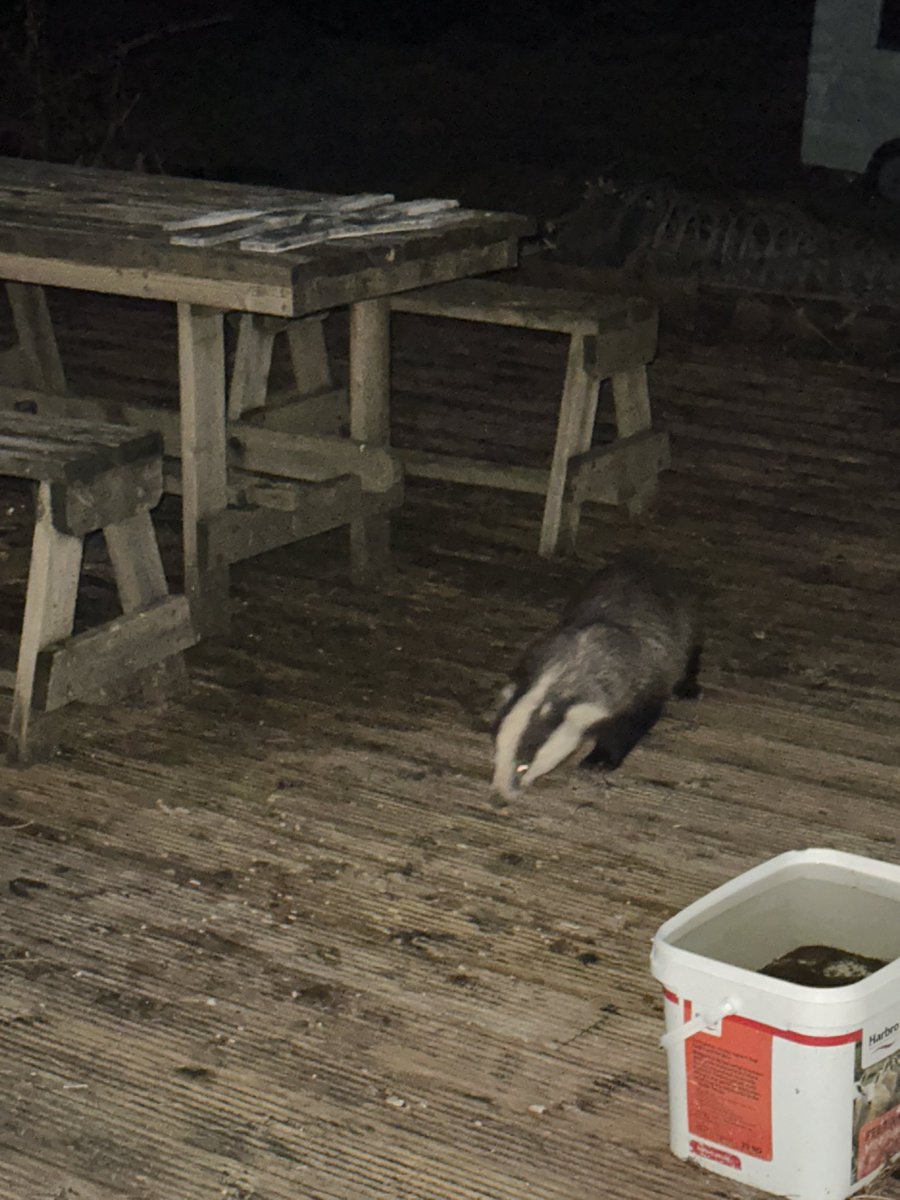 Rob Peel🏳️🌈💙🇬🇧🏴 tweet media