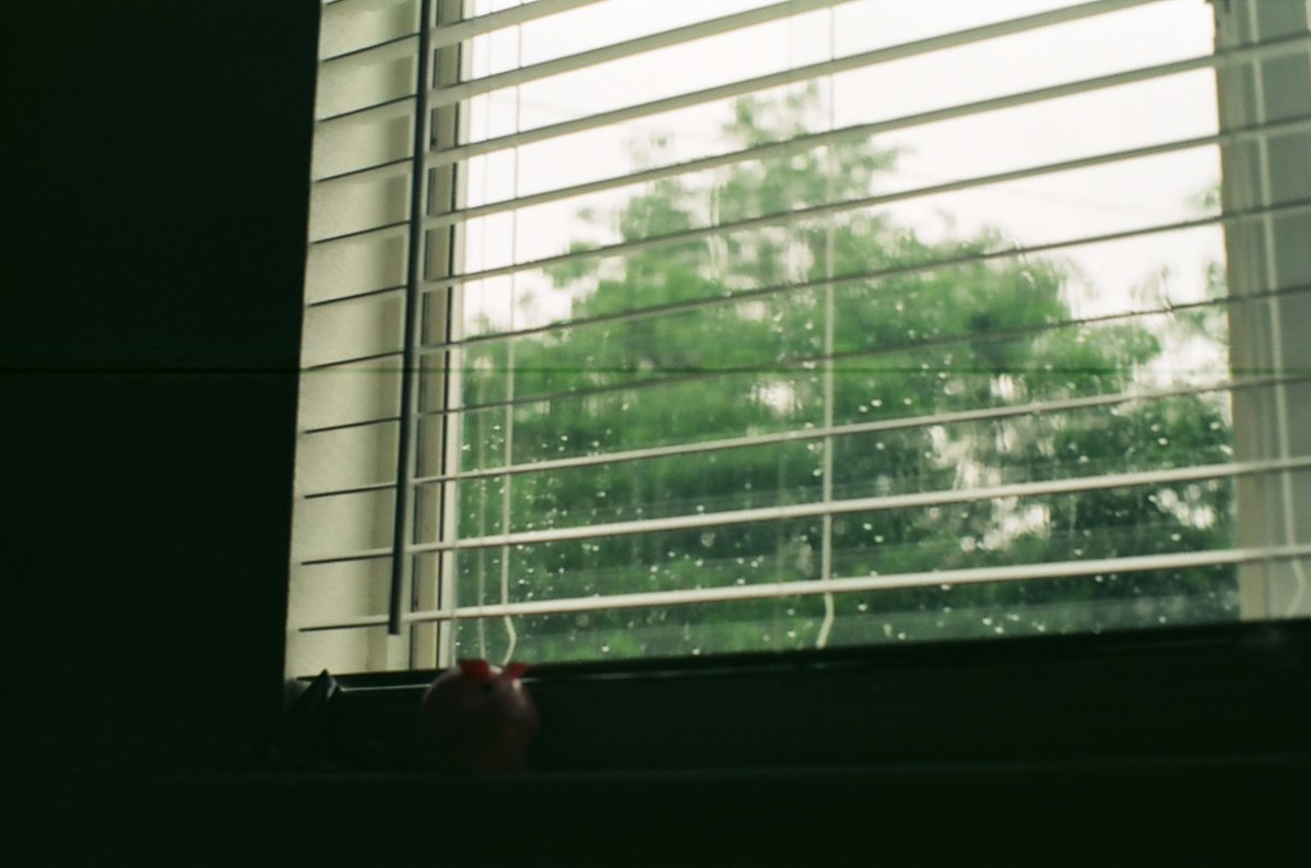 No Transmission tweet media