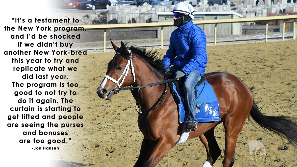 Sacrosanct, shown on Friday, is one of three #NYbred sophomores hunting #KYDerby points in the Gotham! Head to <a href="/TheNYRA/">NYRA (🗽)</a>'s notes for more thoughts from co-owner <a href="/JonNetBirdie/">Jon</a>.