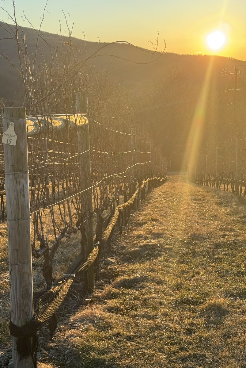 Kathy Wiedemann 🥂🍾 tweet media