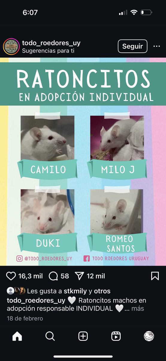 Chicos los nombres…