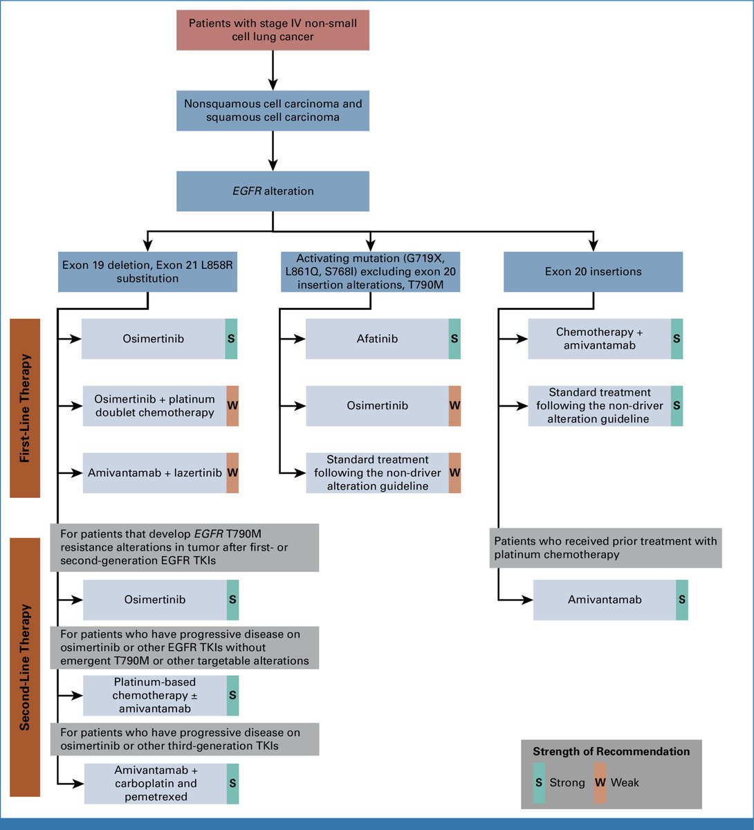 Therapy for Stage IV Non–Small Cell Lung Cancer With Driver Alterations: ASCO Living Guideline, Version 2024.3 

 ascopubs.org/doi/10.1200/JC…