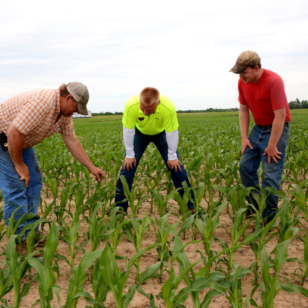 Thunder Seed tweet media