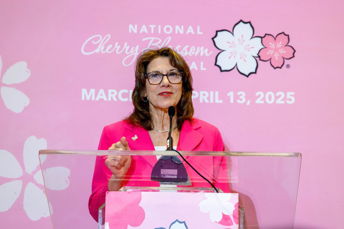 JapanEmbDC's tweet photo. Spring is almost here!🌸 The annual @CherryBlossFest is a celebration of the enduring ties between Japan and the US. As the Cherry Blossom trees continue to grow, so does our friendship. Be on the lookout for the incredible Japanese cultural events at the 2025 #CherryBlossFest! https://t.co/XuNS9Fzz3i