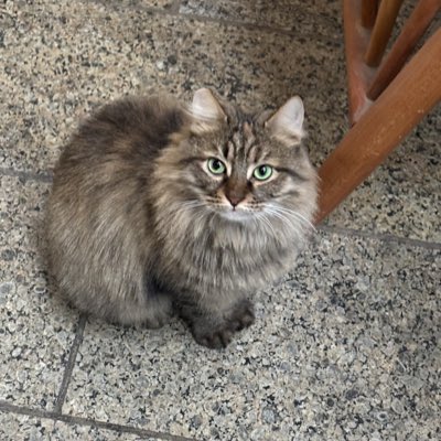 #NewProfilePic
