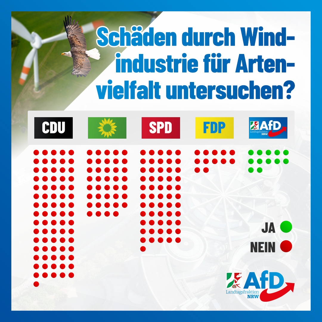 AfD_FraktionNRW's tweet photo. ++ Gegen AfD-Fraktion: Windindustrieschäden für Artenvielfalt werden nicht untersucht! ++

Bodenversiegelung, Mikroplastik-Abrieb, Infraschall, Rotorschlag: Die negativen Auswirkungen von Windindustrieanlagen auf Natur und Umwelt sind massiv.

Allein das Fundament besteht im Schnitt aus dreieinhalbtausend Tonnen Stahlbeton – das Ende für die Bodenfauna. Als AfD-Fraktion NRW beantragten wir:

Der Schaden der Anlagen auf Biodiversität und Ökosysteme soll untersucht, ein Monitoring über deren Umweltauswirkungen etabliert und die Betreiber zum vollständigen Rückbau bewegt werden. Die Debatte geriet zur Farce:

Insbesondere der Redner der SPD-Fraktion, André Stinka, fabulierte hysterisch von Fukushima und einer künftigen Lufttemperatur in Bochum von 50 Grad! Der Sprecher der CDU-Fraktion trat besonnener auf, das Ergebnis ist aber identisch:

„Wir glauben, dass wir erneuerbare Energien zubauen müssen“, sagte er, „dass wir Windenergie zubauen müssen (…).“ Wer Naturschutz statt Fake-Klimaschutz will, hat im Landtag nur die AfD-Fraktion.