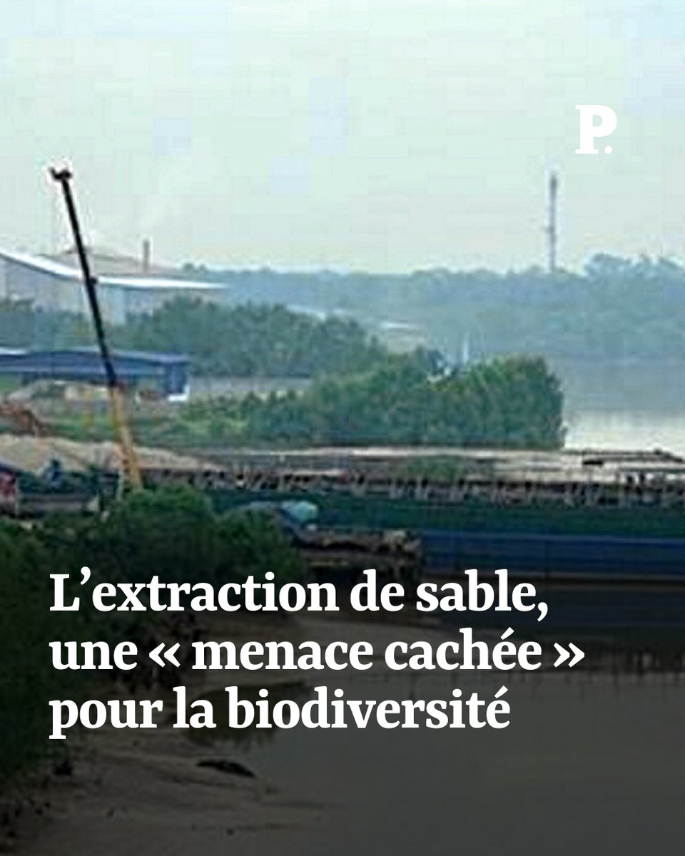 Le Point (@lepoint) on Twitter photo Négligée par rapport à l’exploitation minière en haute mer ou les minéraux critiques, l’extraction de sable a des impacts majeurs sur les écosystèmes marins. Des chercheurs tirent la sonnette d’alarme.
➡️ l.lepoint.fr/YOZ
Par <a href="/ponsheloise/">Héloïse Pons</a> ⤵️ Négligée par rapport à l’exploitation minière en haute mer ou les minéraux critiques, l’extraction de sable a des impacts majeurs sur les écosystèmes marins. Des chercheurs tirent la sonnette d’alarme.
➡️ l.lepoint.fr/YOZ
Par <a href="/ponsheloise/">Héloïse Pons</a> ⤵️