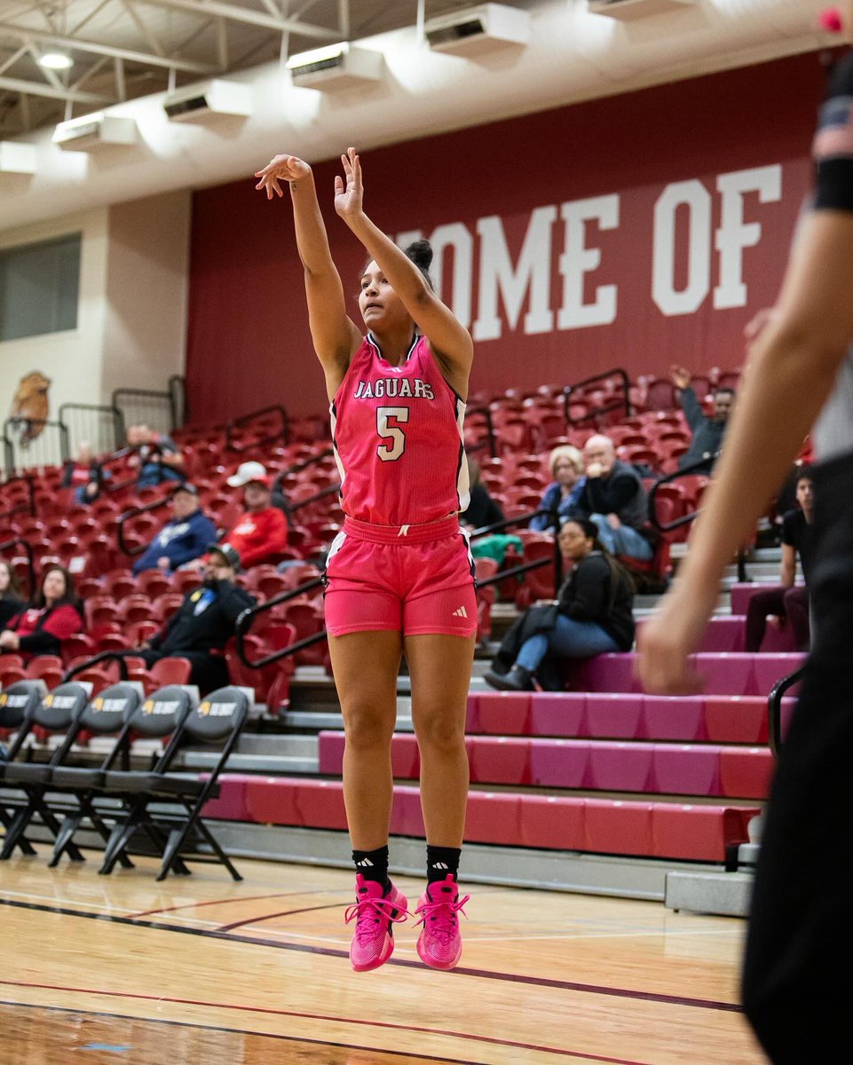 𝙍𝙚𝙜𝙪𝙡𝙖𝙧 𝙨𝙚𝙖𝙨𝙤𝙣 𝙞𝙣 𝙏𝙝𝙚 𝙅𝙪𝙣𝙜𝙡𝙚, 𝘿𝙐𝘽.🤫

#GoJags  x  #HLWBB