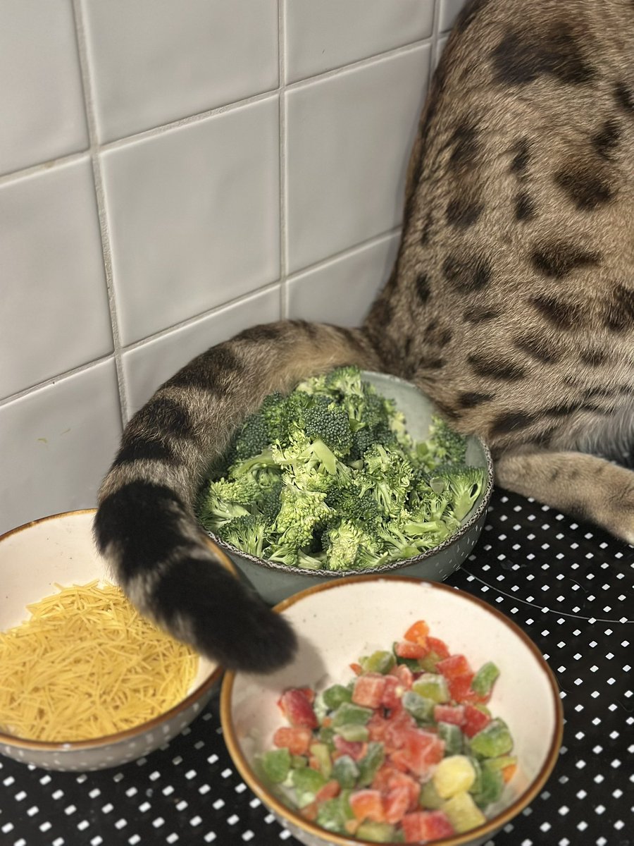 Берём сначала укропу, потом кошачью жопу… и суп готов!