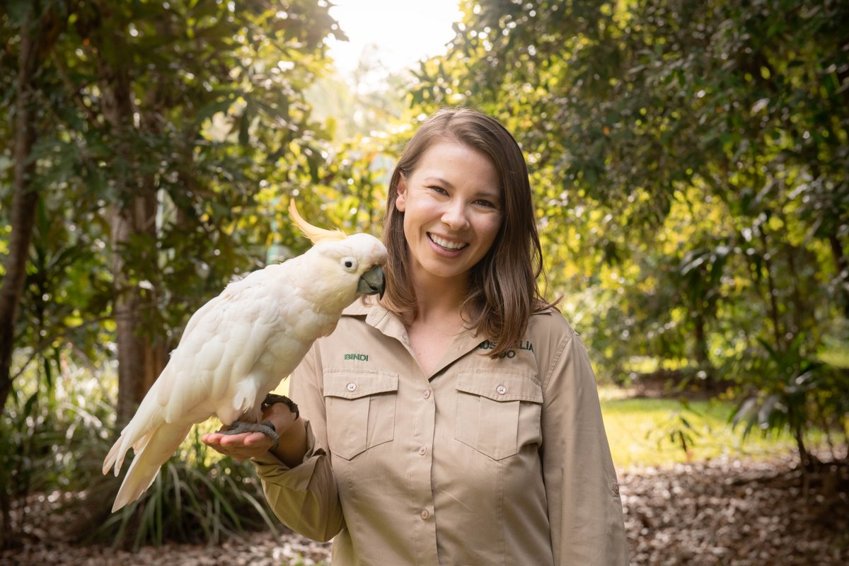 Bindi Irwin (@bindiirwin) on Twitter photo Meet Occa the sulphur-crested cockatoo. Occa is over 50 years old and he could live up to 80 years with us! This guy has SO much personality. He loves chatting to our <a href="/AustraliaZoo/">Australia Zoo</a> guests and showing off his stunning yellow crest. He knows he’s gorgeous for sure! 💛 #cockatoo Meet Occa the sulphur-crested cockatoo. Occa is over 50 years old and he could live up to 80 years with us! This guy has SO much personality. He loves chatting to our <a href="/AustraliaZoo/">Australia Zoo</a> guests and showing off his stunning yellow crest. He knows he’s gorgeous for sure! 💛 #cockatoo