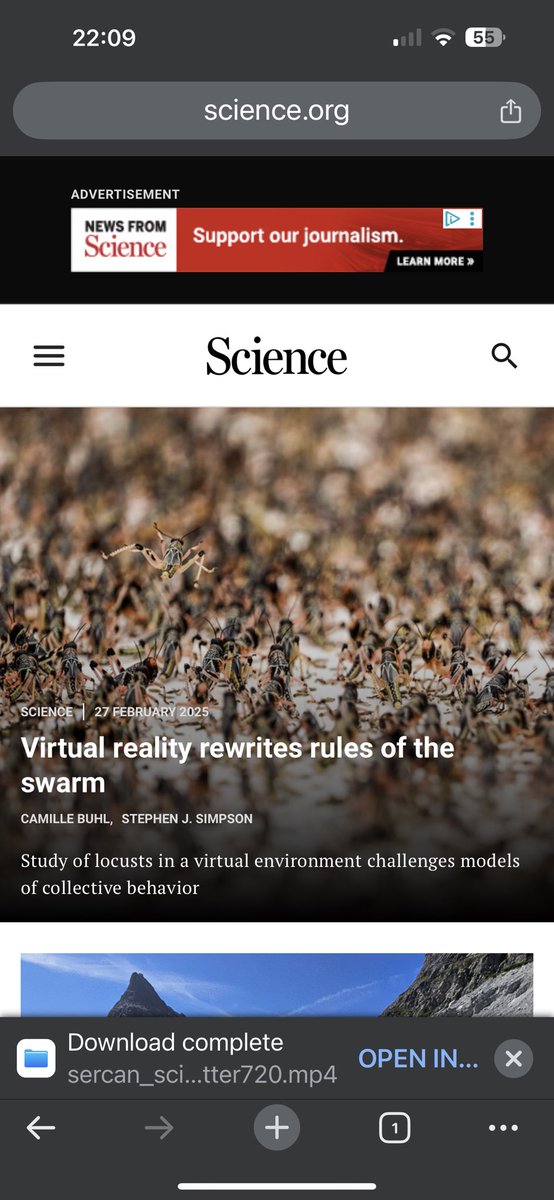 Iain Couzin (@icouzin) on Twitter photo Virtual reality rewrites the rules of the swarm. Our latest paper in <a href="/ScienceMagazine/">Science Magazine</a> <a href="/maxplanckpress/">Max Planck Society</a> <a href="/UniKonstanz/">Universität Konstanz</a> <a href="/CBehav/">Centre for the Adv Study of Collective Behaviour</a> science.org/doi/10.1126/sc… Virtual reality rewrites the rules of the swarm. Our latest paper in <a href="/ScienceMagazine/">Science Magazine</a> <a href="/maxplanckpress/">Max Planck Society</a> <a href="/UniKonstanz/">Universität Konstanz</a> <a href="/CBehav/">Centre for the Adv Study of Collective Behaviour</a> science.org/doi/10.1126/sc…