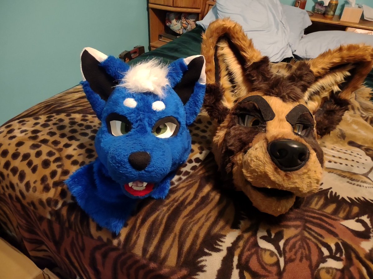 Lixzio the arctic fox tweet media