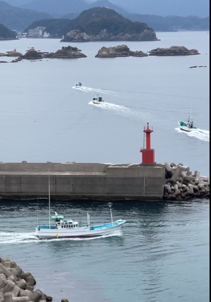 minpin78's tweet image. #TaijiJAPAN🔴: The boats are making their way to the #Cove, in order to release the not selected #Bottlenose #Dolphins. The traumatised souls always have to be driven out to the open Ocean and #Freedom minus 5 of their family, taken Captive🐬🐬 Watch LIVE🇯🇵facebook.com/watch/live/?re…