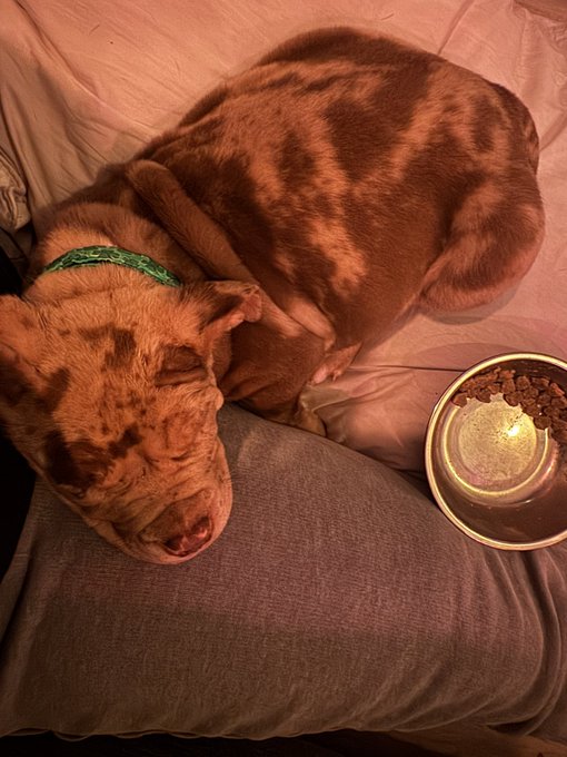 Watch Maddy O'Reilly's leaked NSFW photo on TwXstars