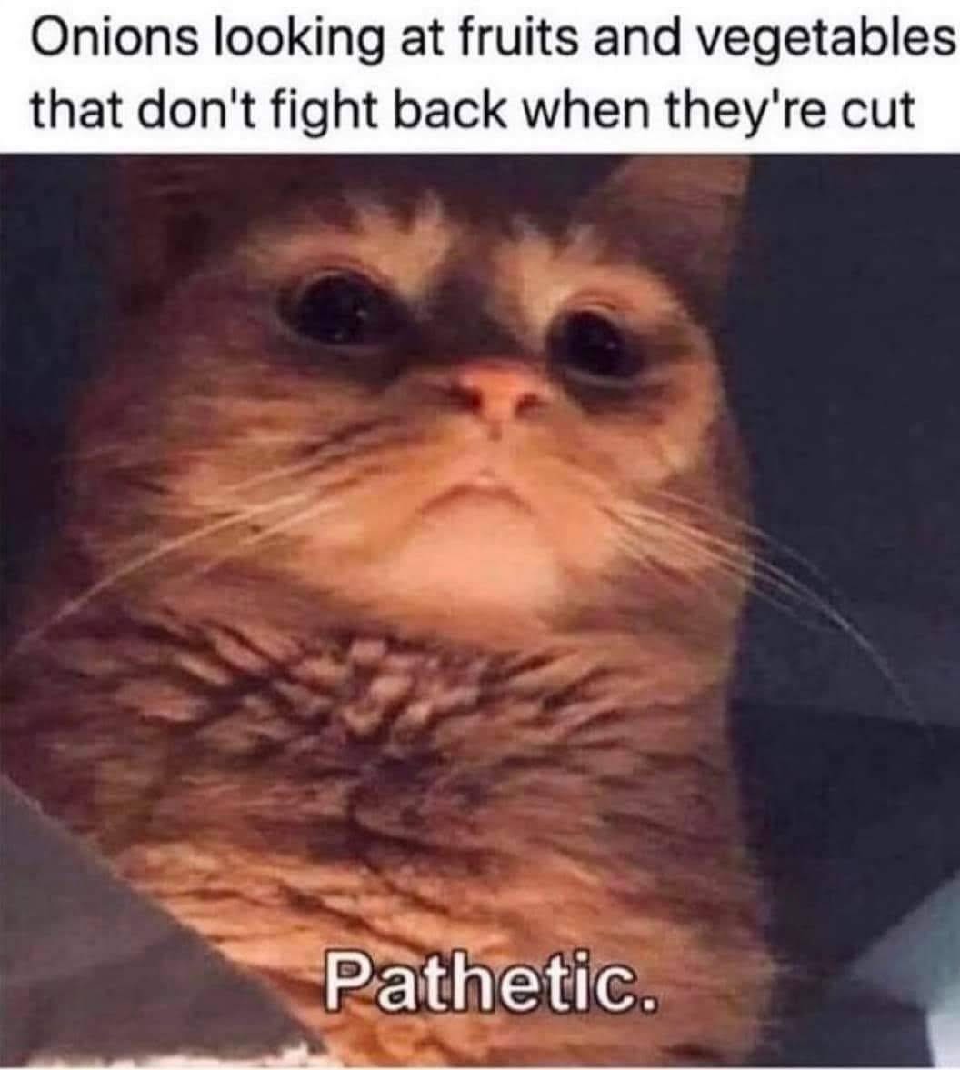 EskimoLiberty's tweet image. Onions man...