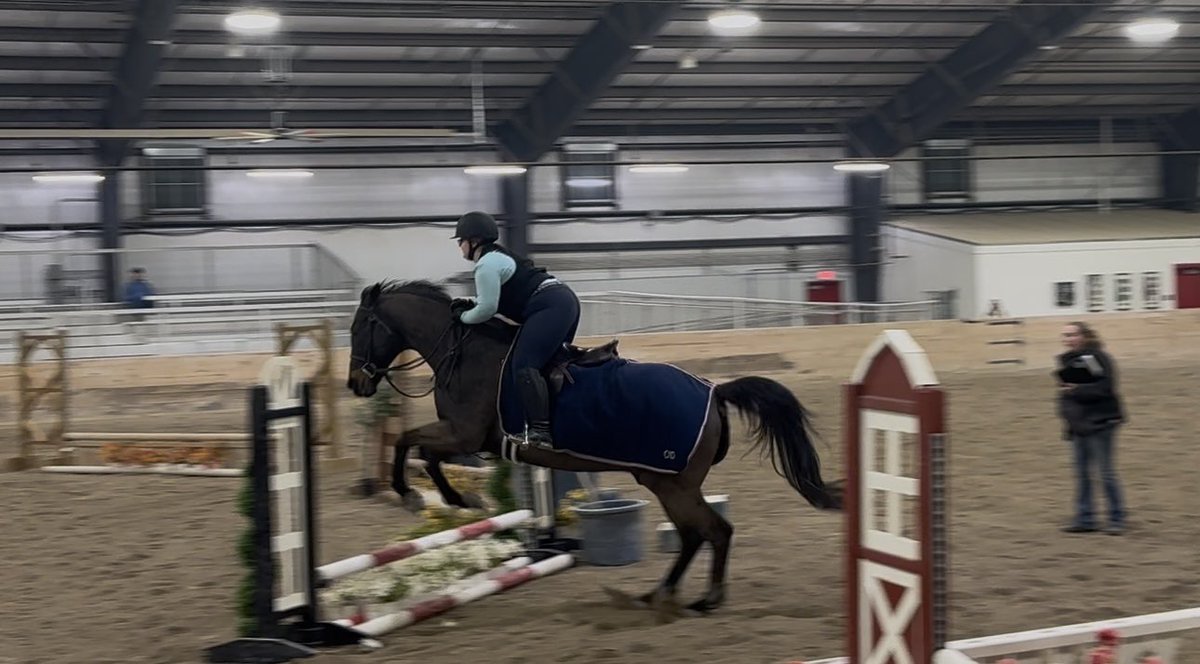 EmmaHurt1976's tweet photo. Isabella had a great lesson this evening. Paired up with Louie (who she hasn’t ridden since the summer) the duo worked hard practicing ahead of #RideIEA Regionals this weekend. https://t.co/OJNwFDD6KW