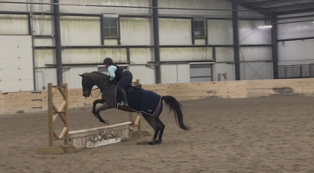 EmmaHurt1976's tweet photo. Isabella had a great lesson this evening. Paired up with Louie (who she hasn’t ridden since the summer) the duo worked hard practicing ahead of #RideIEA Regionals this weekend. https://t.co/OJNwFDD6KW