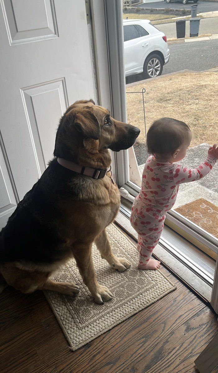 mikebarb26's tweet photo. Big sister things https://t.co/9QpXxNWNTx