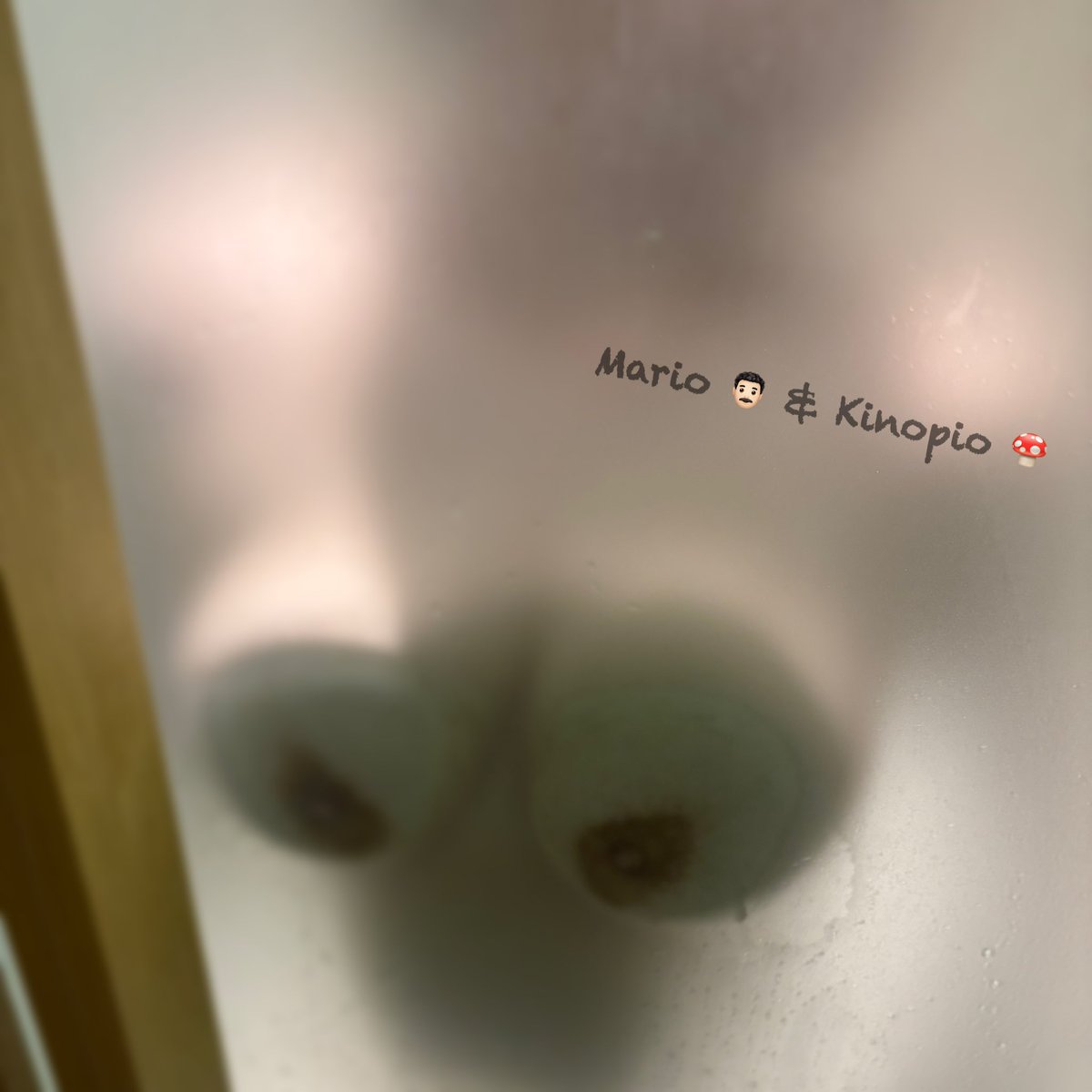 🍄：今日心血來潮又吾返工同👨🏻去滾床單🫦💦吾知今日有無朋友仔夾到時間一齊玩😝🧡

#大食 #淫娃 #多水 #淫 #咸濕 #人妻 #香港夫妻 #大食夫妻 #同房不換