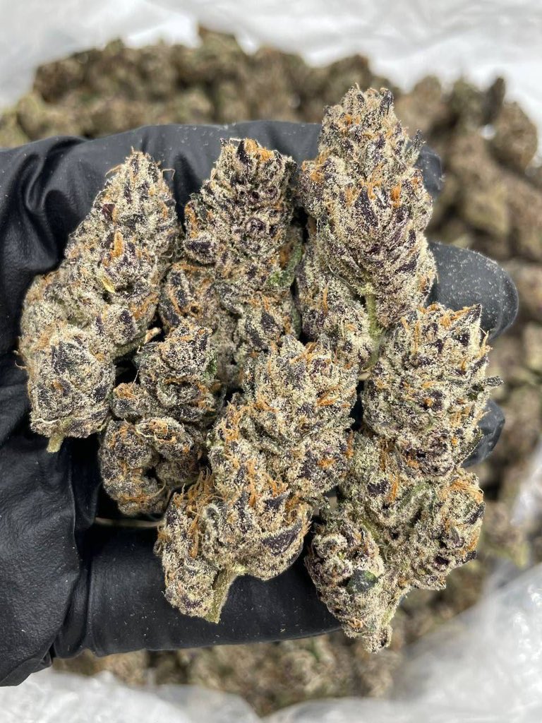 White Runtz 🔥🔥