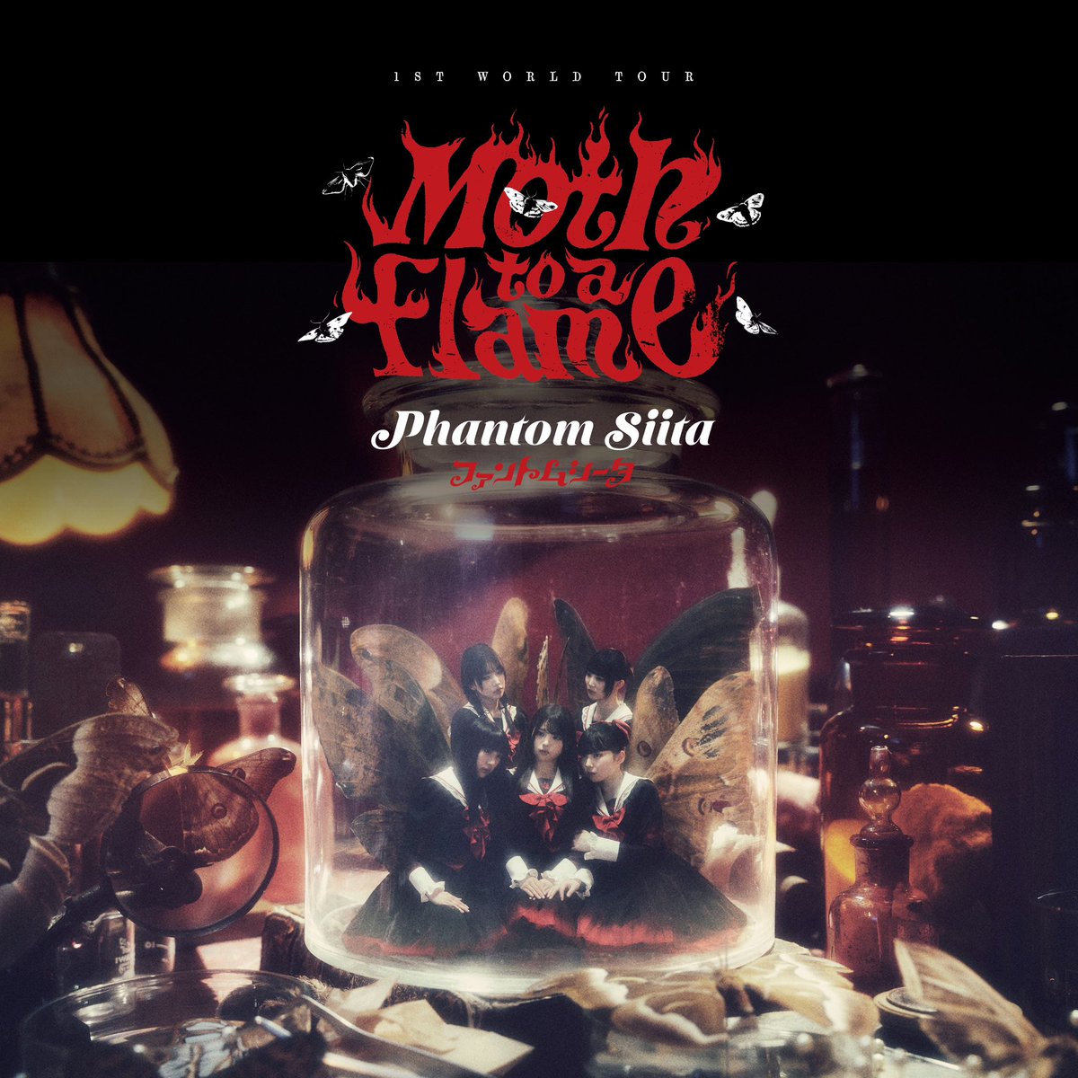 🦋プレイリスト公開🦋 2025年1-2月に行った『Phantom Siita 1ST WORLD