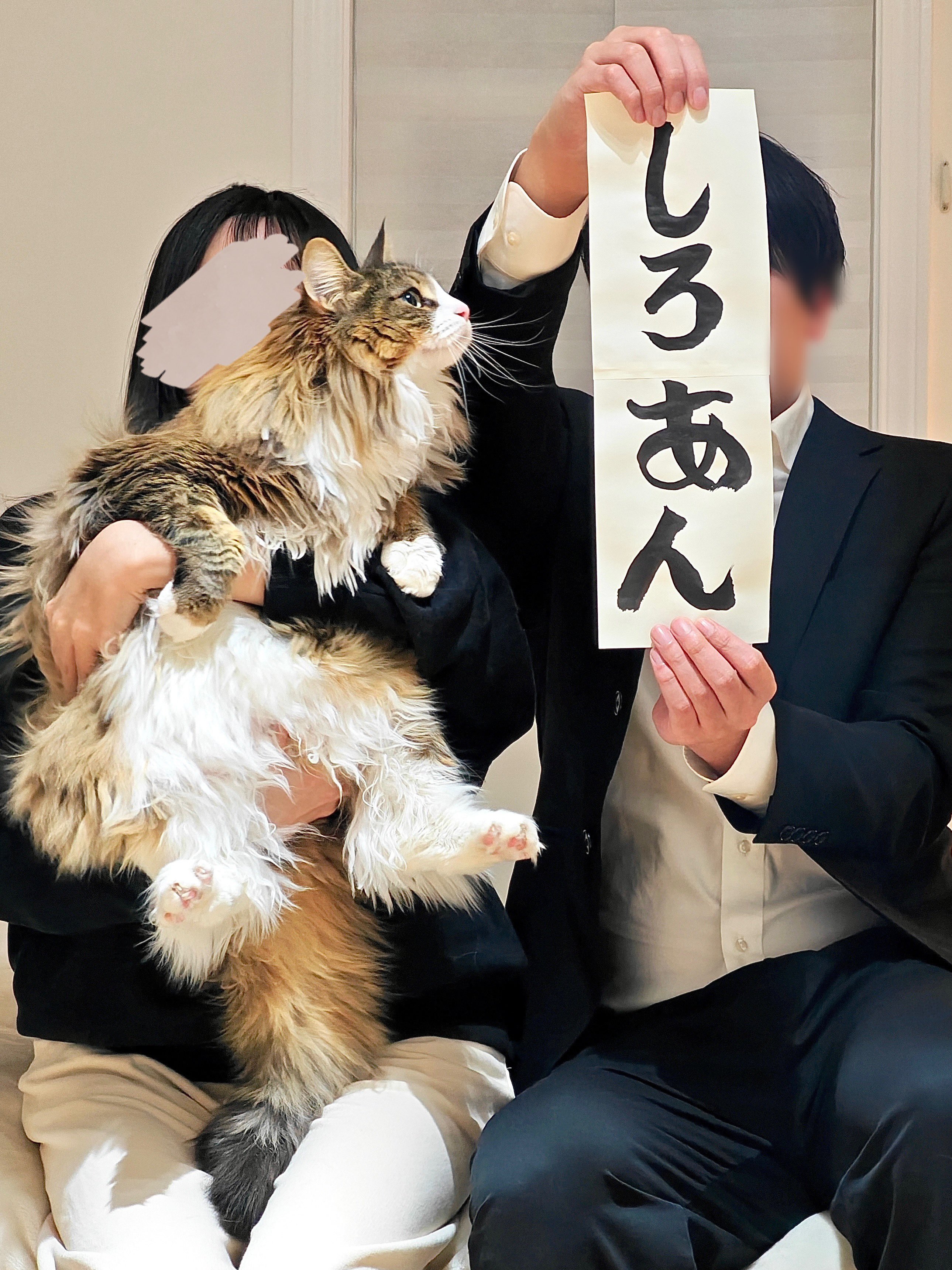 べつやくれい ／ しろねこくんDX [BOOK] 小学館 ｜ピンク | はち