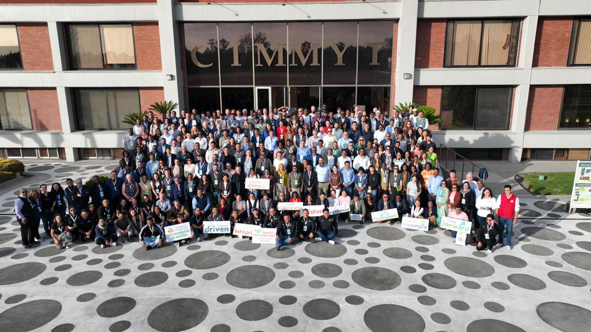 CIMMYT tweet media