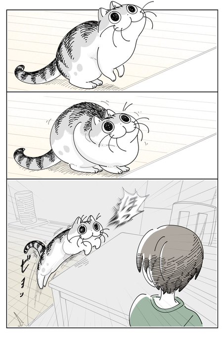 きゅん Gk19INGaoFEA1jq.jpg:small