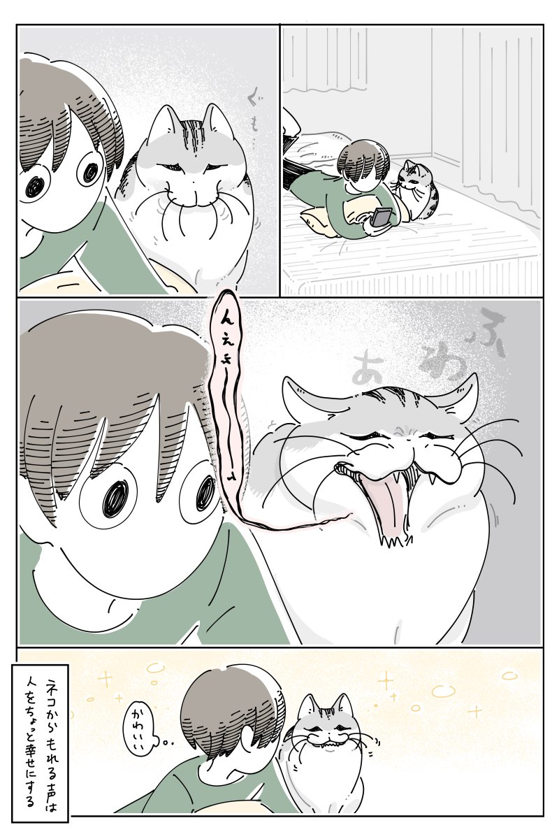 キュルZ tweet media