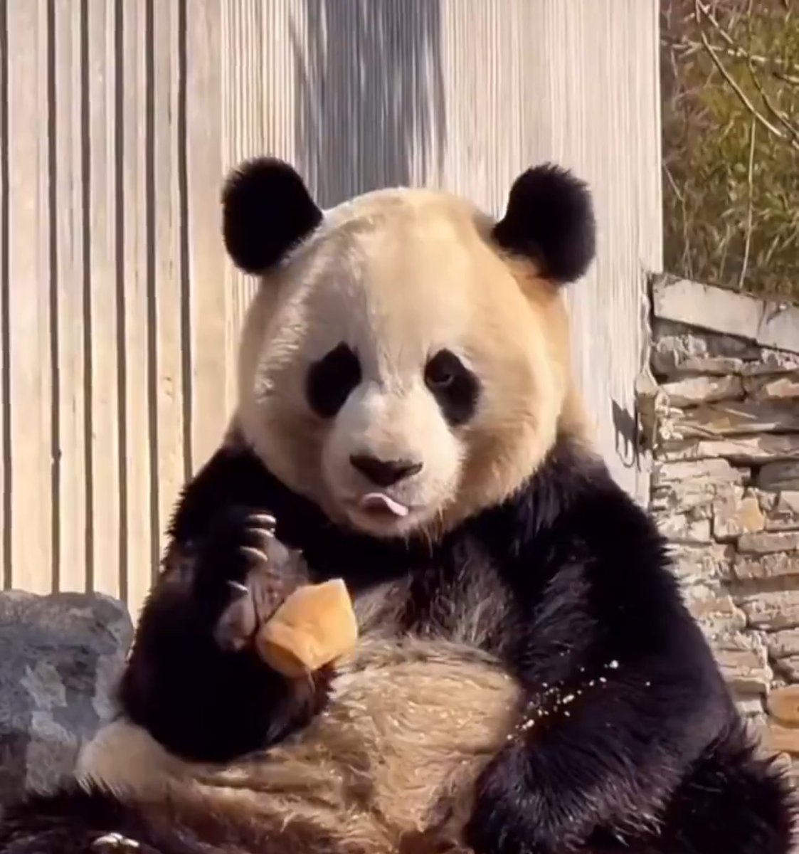 Toby Gordon tweet media