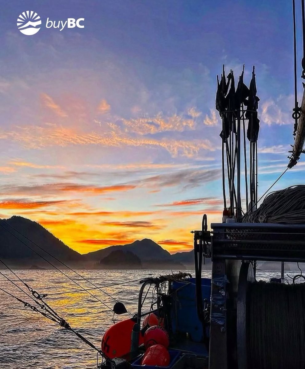 Just because our season is finished, doesn’t mean you can’t enjoy frozen wild Pacific halibut! As an excellent source of high-quality protein and minerals, it is low in sodium, fat, and calories. With low mercury content, wild Pacific halibut is a fish that can be safely eaten