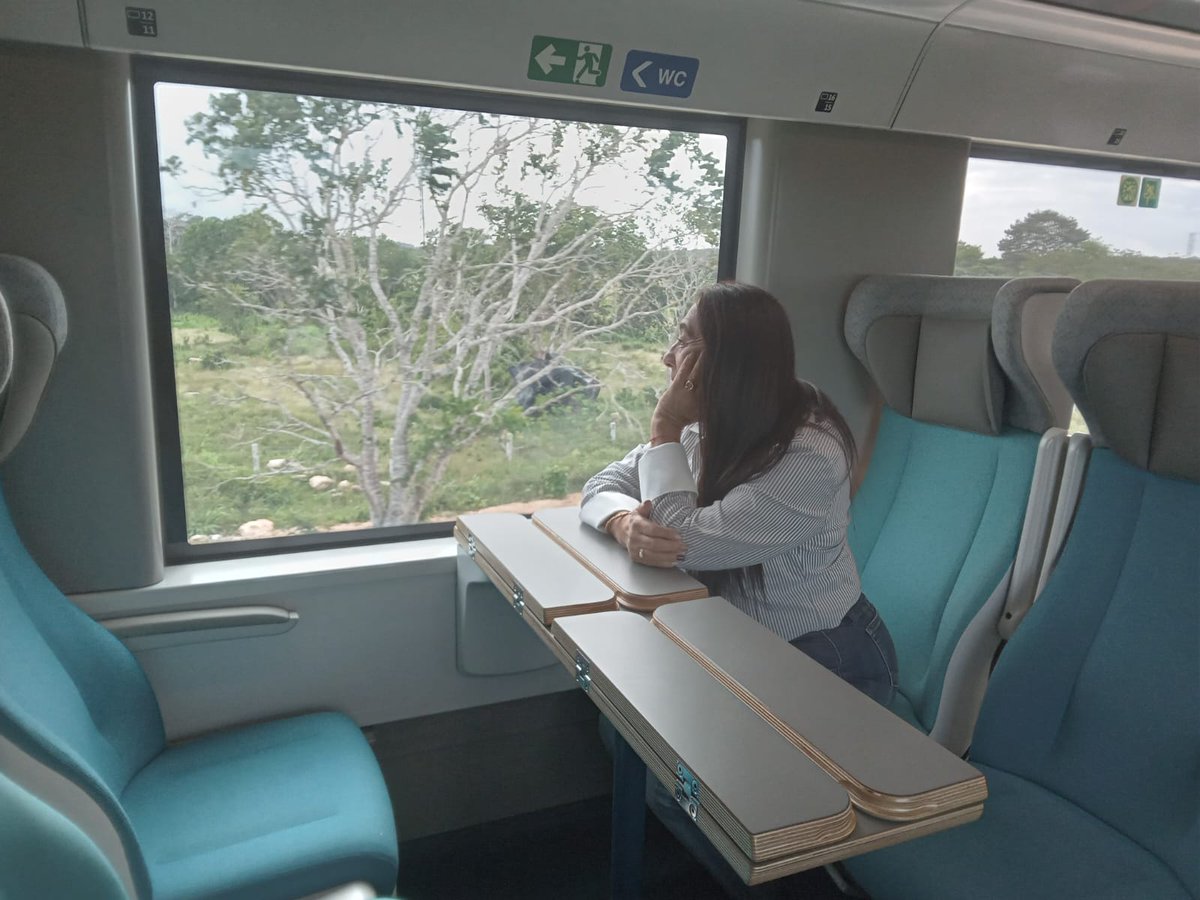 Chetuma - Palenque la nueva ruta del Tren Maya, que entrará en operaciones en los próximos días. <a href="/AMAVCDMX/">AMAV Ciudad de Mexico</a> <a href="/AMAVNACIONAL/">AMAV Nacional</a> <a href="/FELIPEC1450/">FELIPE CERVANTESV</a> <a href="/aguilar_manuel/">DrManuel Aguilar</a> <a href="/BacalarDMC/">Viajes-Convenciones</a> <a href="/EnriqueAlcazar/">Enrique U. Alcázar</a> <a href="/EmbaMexBee/">Embassy Mexico in Belize</a> <a href="/bernardocuetomx/">Bernardo Cueto</a> <a href="/novedadesqroo/">Novedades de Quintana Roo</a> <a href="/SedeturQROO/">Sría. de Turismo Quintana Roo</a> <a href="/SPQuintanaRoo/">Secretaría Particular de la Gobernadora</a> <a href="/quesnelc/">Carlos Quesnel</a> <a href="/STPS_mx/">STPS México</a>